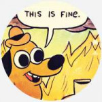 thisisfine.jpg