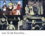 los-12-de-konoha-44131493.png