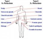 reductase1.jpg