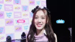 [STAYSE] #65 [Teddy Bear] Showcase Behind (2).webm