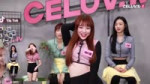 [Im Celuv] 에이프릴(April), 채경이 파트를 탐내는 멤버들 (Celuv.TV)-2.webm