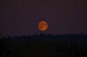 washington-blue-moon2.jpg