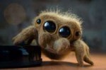 cutejumpingspiderneedlefeltedbylyntoys-dcdywt6.jpg