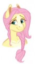 1570959safeartist-colon-earthsong9405fluttershyalternate+ha[...].jpeg