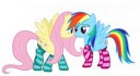 254249safeartist-colon-alexiy777fluttershyrainbow+dashcloth[...].png