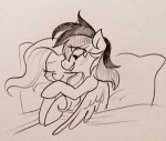 854569suggestiveartist-colon-glacierclearfluttershyrainbow+[...].jpg