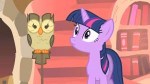 TwilightstaringintentlyatOwlowisciousS1E24.png