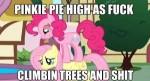 133681safepinkie-piefluttershyscreencapcaptiontreea-bird-in[...].jpg