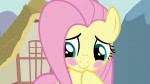 FluttershybashfulblushS03E10.png