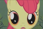 Pony2 (138).png