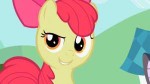 Pony2 (272).png