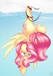 mlp-porn-r34-секретные-разделы-my-little-pony-4225656.png