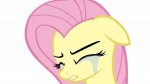 fluttershycriesbythechouken-d58x0f9.png