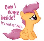 213658safememecutescootalootextsadfunnyhumorartist-colon-aj[...].png