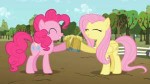 800px-PinkiePieandFluttershycelebratingwithciderS02E15[1].png