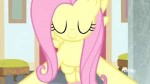 1699179safescreencapfluttershystarlight+glimmertwilight+spa[...].gif