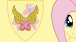 fluttershyandtheelementofkindnessbyraizelmaxx-d4ujpax.jpg