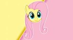 fluttershyfacebyesipode-d4bm235.jpg