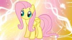 fluttershywallpaperbyesipode-d4bm1f1.jpg