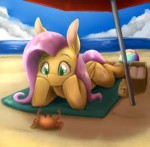 1772723safeartist-colon-otakuapfluttershybeachbeach+ballbig[...].png