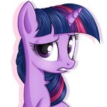 Twilight-Sparkle-mane-6-my-little-pony-фэндомы-992618.png