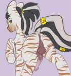 zebra req.png