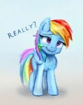 rainbowdashisscepticallyaskingreallybyxbi-dcf3g6w.jpg