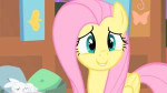 FluttershysmilesS1E17.png