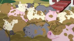 PigscontinuetolieinthemudS6E10.png