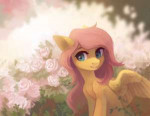 2116306safeartist-colon-koviryfluttershybustcutefemaleflowe[...].jpeg