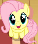 1100846 LookingUpAtYouFluttershy.jpg