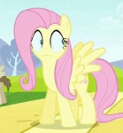 equestria (3).gif