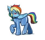 1445888771.kinkyrainbowdashferaldashie1280.png