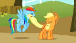 1039918saferainbow+dashapplejackscreencapanimatedfall+weath[...].gif