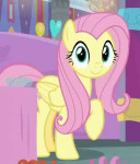 Fluttershy bob.gif