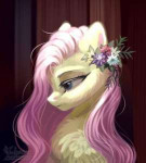 Fluttershy-mane-6-my-little-pony-фэндомы-5403612.jpeg