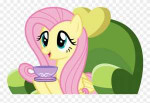 111-1116659author-comments-mlp-fluttershy-tea-clipart.png