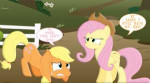 applejack-and-fluttershy-body-swap.png