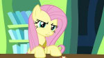 FluttershylosespatiencewithherfriendsS03E10.png