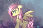 1274952safeartist-colon-kawaiipony2fluttershycryingfemalera[...].jpg