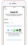 ios11-iphone7-setup-sign-in-apple-id.jpg