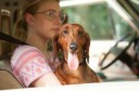 wiener-dog-mit-greta-gerwig66.jpg