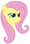 fluttershyvectorbylazyjoe-d52hb09.png