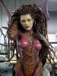 22f33492fa30128336b62a81c578f02b--sarah-kerrigan-awesome-co[...].jpg