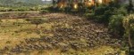 Outrider-army-1[1].gif