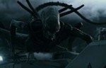 alien-covenant-xenomorph[1].jpg