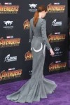 karen-gillan-at-avengers-infinity-war-premiere-in-los-angel[...].jpg