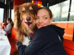 Amanda-Seyfried-Dog-Baby.jpg