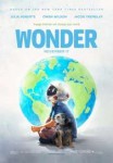 Wonder-3062053.jpg