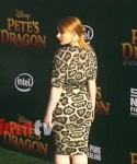 PetesDragon.webm